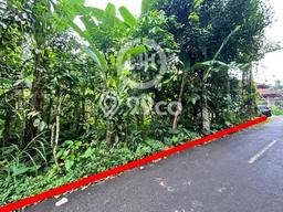 Tanah di Payangan, Gianyar Luas 44750m2 Dijual Segera Tanah di Payangan, Gianyar Luas 44750m2 Dijual Segera