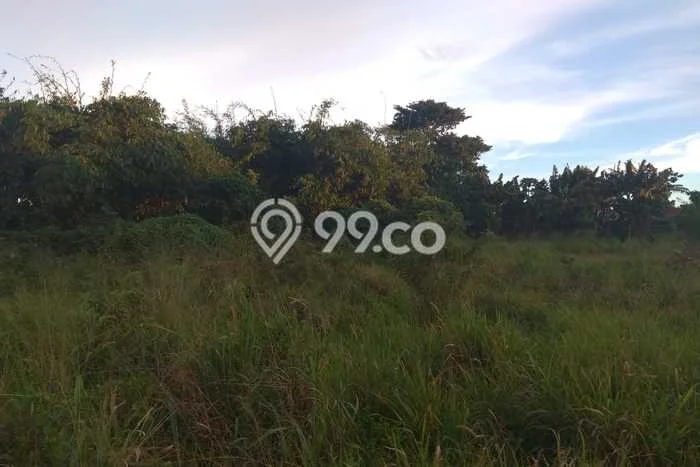 Tanah Kavling Dijual di Cikaret, Bogor dengan Luas Tanah 5950m2 Tanah Kavling Dijual di Cikaret, Bogor dengan Luas Tanah 5950m2