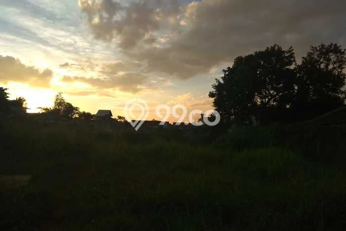 Tanah Kavling Dijual di Cikaret, Bogor dengan Luas Tanah 5950m2 Tanah Kavling Dijual di Cikaret, Bogor dengan Luas Tanah 5950m2