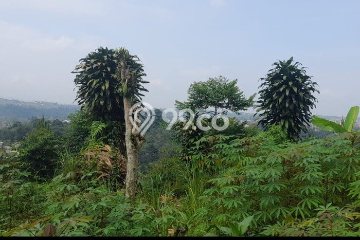 Untuk Dijual Tanah di Bogor, Luas 3300m2 SHM Untuk Dijual Tanah di Bogor, Luas 3300m2 SHM