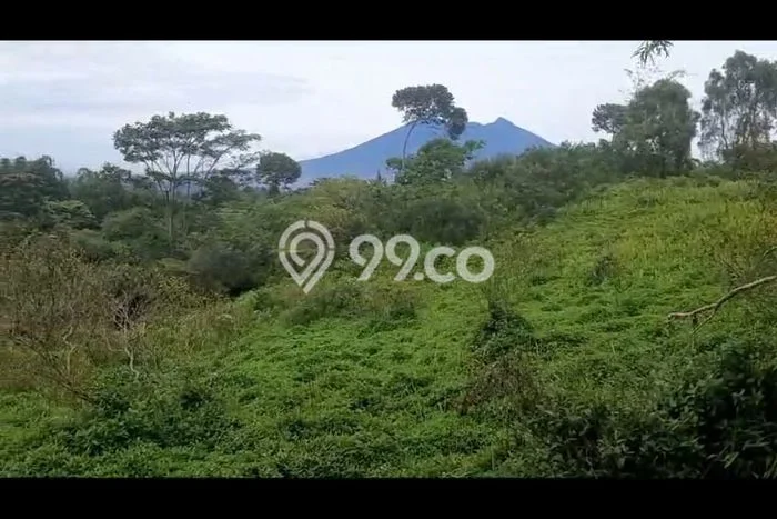 Tanah Investasi Dijual di Bogor Punya Luas 5000m2 Tanah Investasi Dijual di Bogor Punya Luas 5000m2