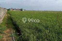 Tanah Area Strategis Kawasan Tarumajaya, Luas 14690m², Ideal untuk Usaha Tanah Area Strategis Kawasan Tarumajaya, Luas 14690m², Ideal untuk Usaha