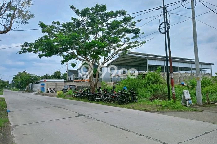 Lahan Strategis di Delanggu Dijual dengan Luas 2389m2 Lahan Strategis di Delanggu Dijual dengan Luas 2389m2