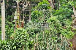 Tanah Dijual Area Strategis di Cipaku Bandung 1400m2 Tanah Dijual Area Strategis di Cipaku Bandung 1400m2
