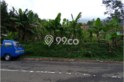 Kavling Tanah di Ruteng Dijual Luas 337m2 Legalitas SHM Kavling Tanah di Ruteng Dijual Luas 337m2 Legalitas SHM