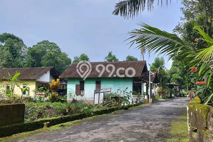 Tanah Murah Akses Jalan Aspal Timur Pasar Jangkang Di Jakal Km 13 Tanah Murah Akses Jalan Aspal Timur Pasar Jangkang Di Jakal Km 13