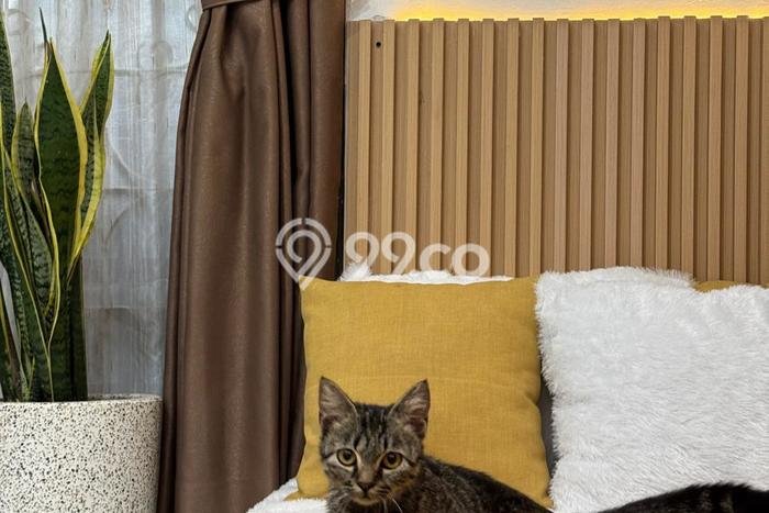 Rumah sewa siap huni 4 Kamar Tidur di Sleman, Yogyakarta Rumah sewa siap huni 4 Kamar Tidur di Sleman, Yogyakarta