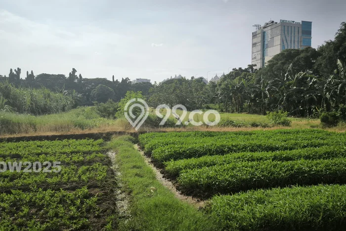 Tanah di Kelapa Gading, Jakarta Utara Luas 30000m2 Dijual Segera Tanah di Kelapa Gading, Jakarta Utara Luas 30000m2 Dijual Segera