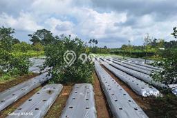 Tanah Siap Bangun Dijual di Bandung Punya Luas 25000m2 Tanah Siap Bangun Dijual di Bandung Punya Luas 25000m2