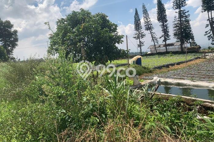 Lahan untuk Dijual di Parongpong Bandung Barat Luas 3670m2 Lahan untuk Dijual di Parongpong Bandung Barat Luas 3670m2