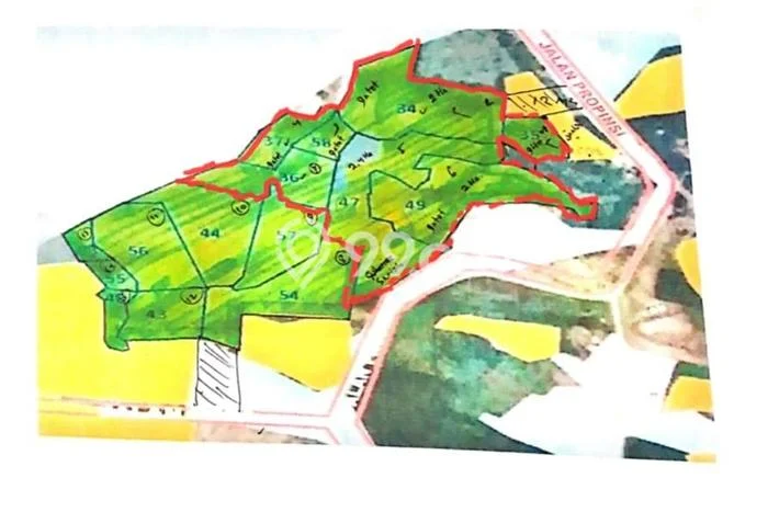 Lahan Kosong Dijual di Maja, Lebak, Luas 100000m2 Area Strategis Lahan Kosong Dijual di Maja, Lebak, Luas 100000m2 Area Strategis