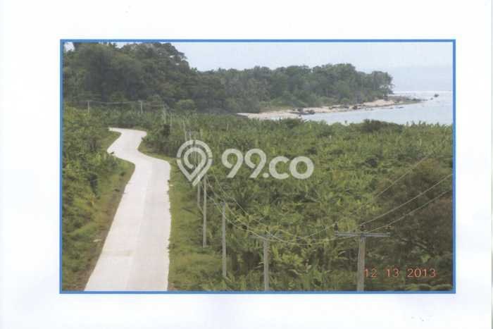 Tanah Dijual di Pandeglang Seluas 1.6e+06m2 Strategis Tanah Dijual di Pandeglang Seluas 1.6e+06m2 Strategis