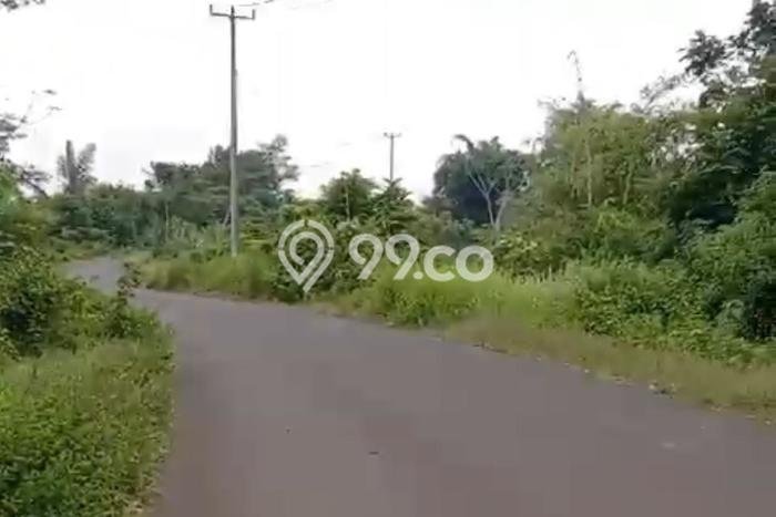 Tanah Kavling untuk Dijual di Bojongmanik Lebak 1e+06m2 Tanah Kavling untuk Dijual di Bojongmanik Lebak 1e+06m2