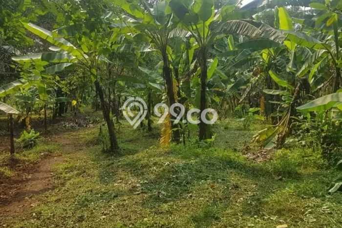 Lahan untuk Dijual di Tangerang Tangerang Luas 12000m2 Lahan untuk Dijual di Tangerang Tangerang Luas 12000m2