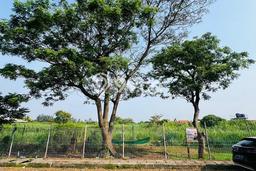 Tanah di Tangerang, Tangerang Luas 21145m2 Dijual Segera Tanah di Tangerang, Tangerang Luas 21145m2 Dijual Segera