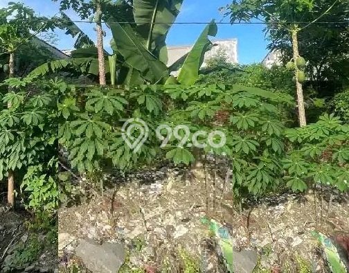 Tanah Dijual di Surabaya Seluas 190m2 Strategis Tanah Dijual di Surabaya Seluas 190m2 Strategis