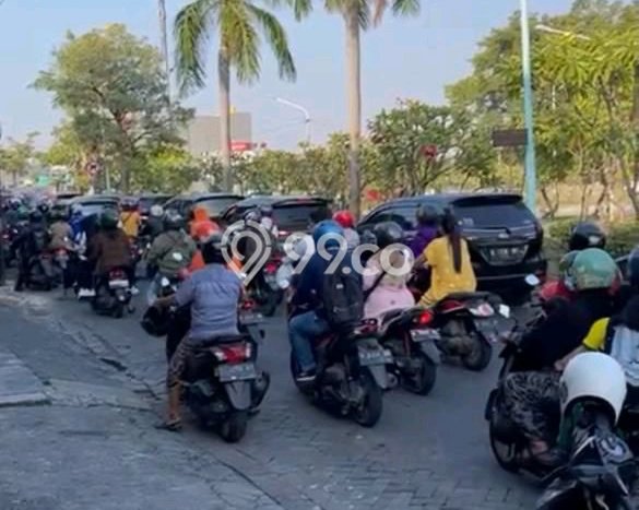Rumah Bagus Siap Pakai Di Gresik Luas 370m2 Lokasi Strategis Rumah Bagus Siap Pakai Di Gresik Luas 370m2 Lokasi Strategis