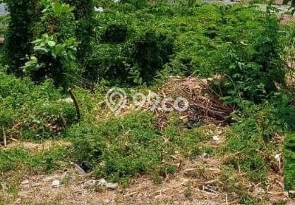 Tanah Dijual Lokasi Mulyorejo, Surabaya Luas 575m2 Legalitas Aman Tanah Dijual Lokasi Mulyorejo, Surabaya Luas 575m2 Legalitas Aman