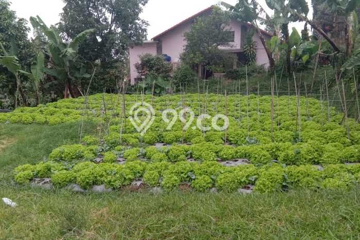 Tanah Dijual Lokasi Parongpong Bandung Barat SHM Tanah Dijual Lokasi Parongpong Bandung Barat SHM