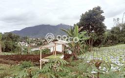 Tanah Dijual Lokasi Cisarua, Bandung Barat Luas 2337m2 Legalitas Aman Tanah Dijual Lokasi Cisarua, Bandung Barat Luas 2337m2 Legalitas Aman