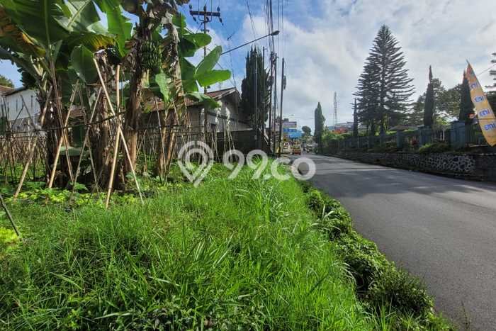 Jarang Ada! Tanah di Lembang Punya Luas 1847m2 SHM Jarang Ada! Tanah di Lembang Punya Luas 1847m2 SHM