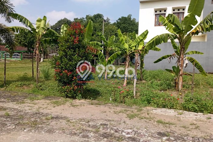 Tanah Strategis Dijual di Gurah Kediri 270m2 Tanah Strategis Dijual di Gurah Kediri 270m2