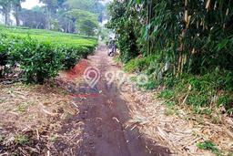 Tanah Depan Wisata Kebun Teh Wonosari Singosari Akses Jalan Mudah Tanah Depan Wisata Kebun Teh Wonosari Singosari Akses Jalan Mudah