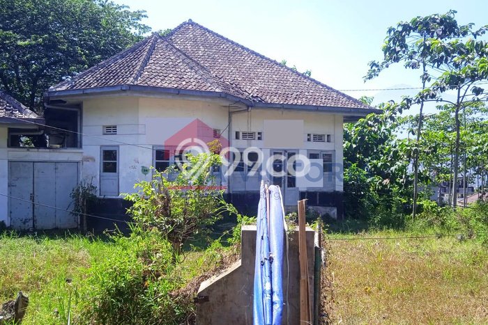 Untuk Dijual Tanah di Batu Batu Luas 4485m2 SHM Untuk Dijual Tanah di Batu Batu Luas 4485m2 SHM