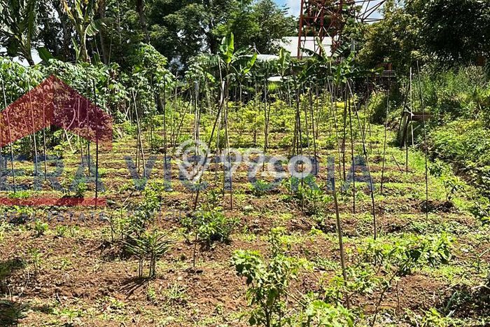 Tanah Dijual Lokasi Batu, Batu dengan Luas Tanah 1826m2 dan Status SHM Tanah Dijual Lokasi Batu, Batu dengan Luas Tanah 1826m2 dan Status SHM