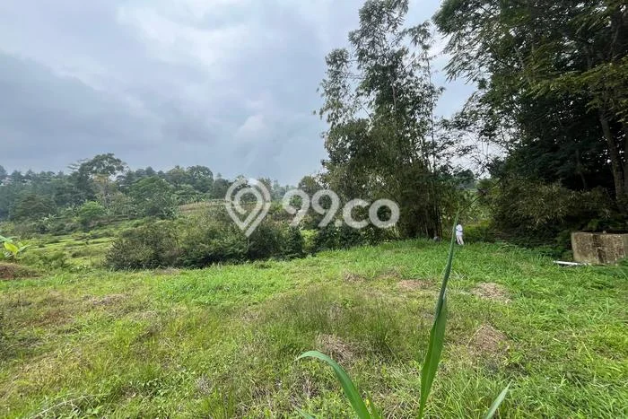 Jual Tanah Lokasi Prima Kawasan Megamendung, Luas 300m², Dekat Megamendung, Bogor, Bogor Jual Tanah Lokasi Prima Kawasan Megamendung, Luas 300m², Dekat Megamendung, Bogor, Bogor