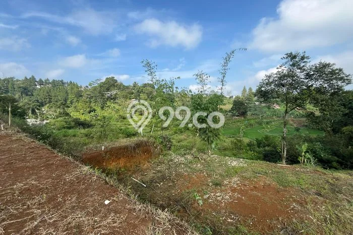 Dijual Tanah di Megamendung, Luas 300m², Lokasi Potensial, Kontur Rata Dijual Tanah di Megamendung, Luas 300m², Lokasi Potensial, Kontur Rata