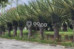 Jual Tanah Area Berkembang di Setiabudi, Luas 400m², Lingkungan Nyaman Jual Tanah Area Berkembang di Setiabudi, Luas 400m², Lingkungan Nyaman