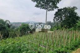 Tanah Kavling untuk Dijual di Lembang Bandung Barat 11345m2 Tanah Kavling untuk Dijual di Lembang Bandung Barat 11345m2
