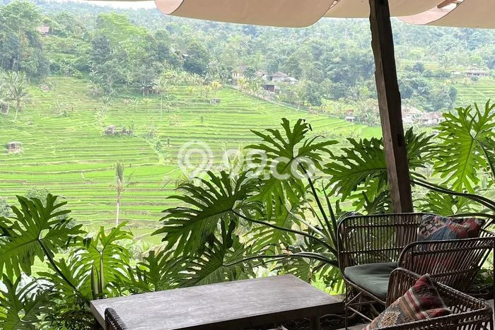 Kavling Tanah untuk Dijual di Jatiluwih, Tabanan, Luas 4340m2 Kavling Tanah untuk Dijual di Jatiluwih, Tabanan, Luas 4340m2