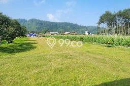 Tanah di Lembang, Bandung Barat Luas 1365m2 Dijual Segera Tanah di Lembang, Bandung Barat Luas 1365m2 Dijual Segera