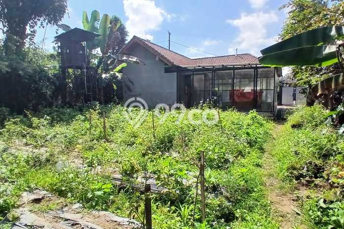 Jual Tanah Kawasan Baturiti, Luas 2780m², Area Potensial Jual Tanah Kawasan Baturiti, Luas 2780m², Area Potensial