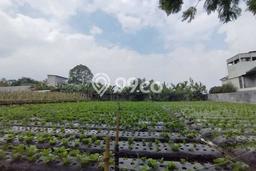 Disewakan Tanah di Setiabudi Bandung Seluas 1662m2 Disewakan Tanah di Setiabudi Bandung Seluas 1662m2