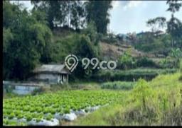 Tanah di Lembang, Bandung Barat Luas 19454m2 Dijual Segera Tanah di Lembang, Bandung Barat Luas 19454m2 Dijual Segera
