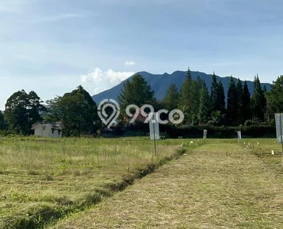 AREA PROSPEKTIF! Tanah di Cisarua, Luas 150m2m², Akses Fasilitas Umum, Kawasan Potensial AREA PROSPEKTIF! Tanah di Cisarua, Luas 150m2m², Akses Fasilitas Umum, Kawasan Potensial