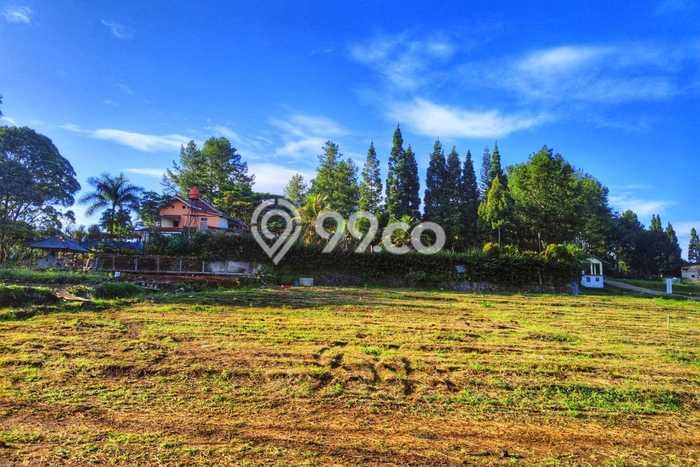 Tanah Strategis di Cisarua, Luas 150m2m², Ideal untuk Perumahan Tanah Strategis di Cisarua, Luas 150m2m², Ideal untuk Perumahan