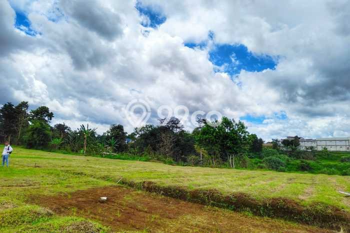 Tanah Strategis di Cisarua, Luas 150m2m², Ideal untuk Perumahan Tanah Strategis di Cisarua, Luas 150m2m², Ideal untuk Perumahan