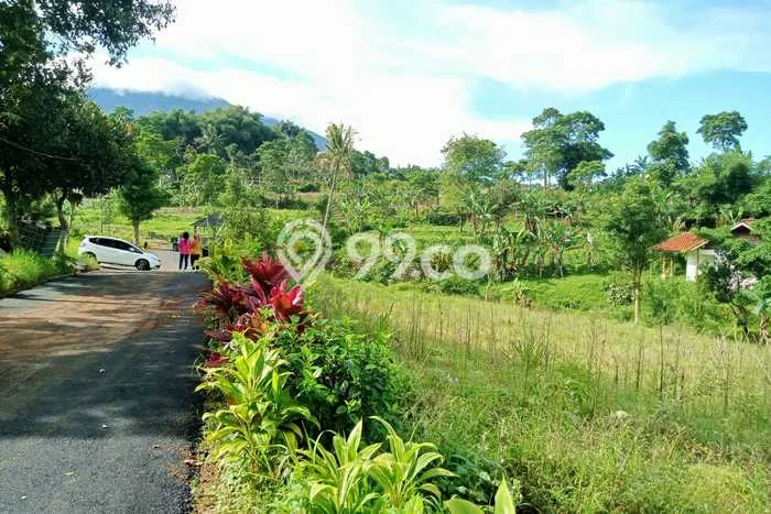 Tanah Kosong Dijual di Bogor dengan Area 210m2 Tanah Kosong Dijual di Bogor dengan Area 210m2