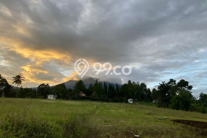 Jual Tanah Kawasan Bisnis di Megamendung, Luas 200m2m², Prospek Bagus Jual Tanah Kawasan Bisnis di Megamendung, Luas 200m2m², Prospek Bagus