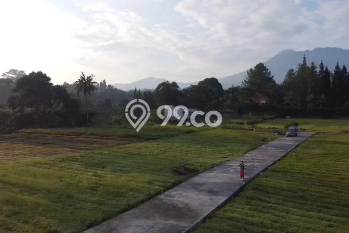 Tanah Strategis Dijual di Megamendung Bogor 200m2 Tanah Strategis Dijual di Megamendung Bogor 200m2