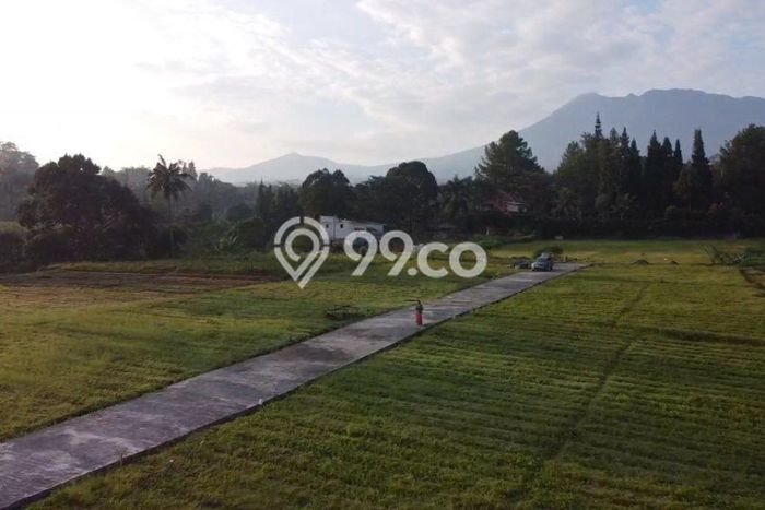 Tanah Dijual Lokasi Cisarua, Bogor dengan Luas Tanah 250m2 dan Status SHM Tanah Dijual Lokasi Cisarua, Bogor dengan Luas Tanah 250m2 dan Status SHM