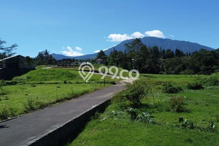 Tanah Potensial Kawasan Megamendung, Luas 200m2m², Pinggir Jalan Tanah Potensial Kawasan Megamendung, Luas 200m2m², Pinggir Jalan