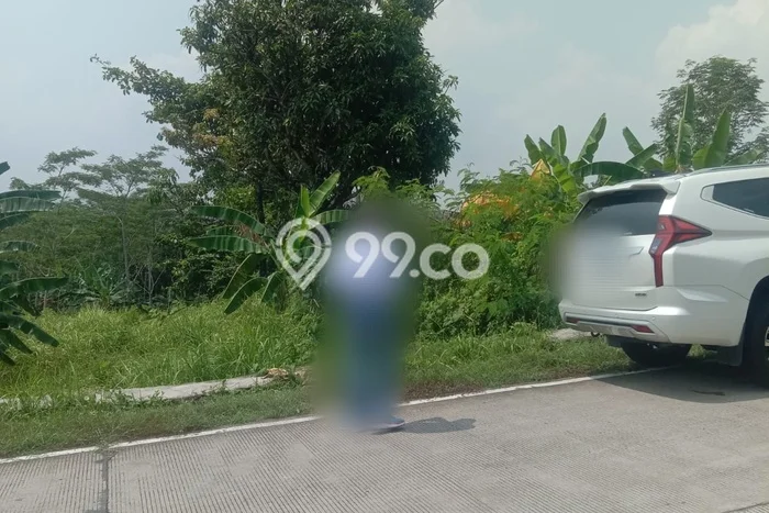Kavling Tanah di Pandeglang Dijual Luas 70000m2 Legalitas - Kavling Tanah di Pandeglang Dijual Luas 70000m2 Legalitas -