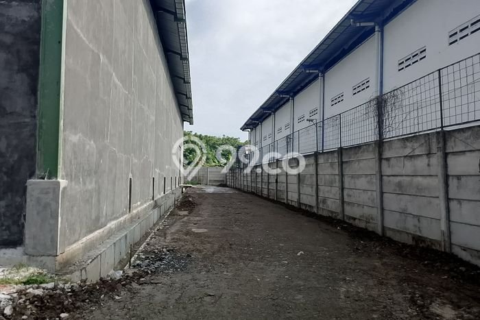Disewakan Gudang Bisnis di Tangerang Tangerang Harga Sewa Menarik Bisa Nego Disewakan Gudang Bisnis di Tangerang Tangerang Harga Sewa Menarik Bisa Nego