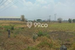 Untuk Dijual Tanah di Kedamean Gresik Luas 10555m2 SHM Untuk Dijual Tanah di Kedamean Gresik Luas 10555m2 SHM