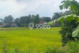 Kavling Tanah Dijual di Legok Tangerang Spesifikasi 935m2 Kavling Tanah Dijual di Legok Tangerang Spesifikasi 935m2